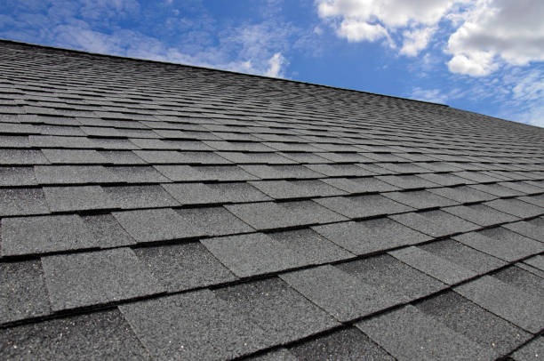 Best Roof Leak Repair  in Guntersville, AL